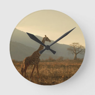 Giraff i savannen rund klocka