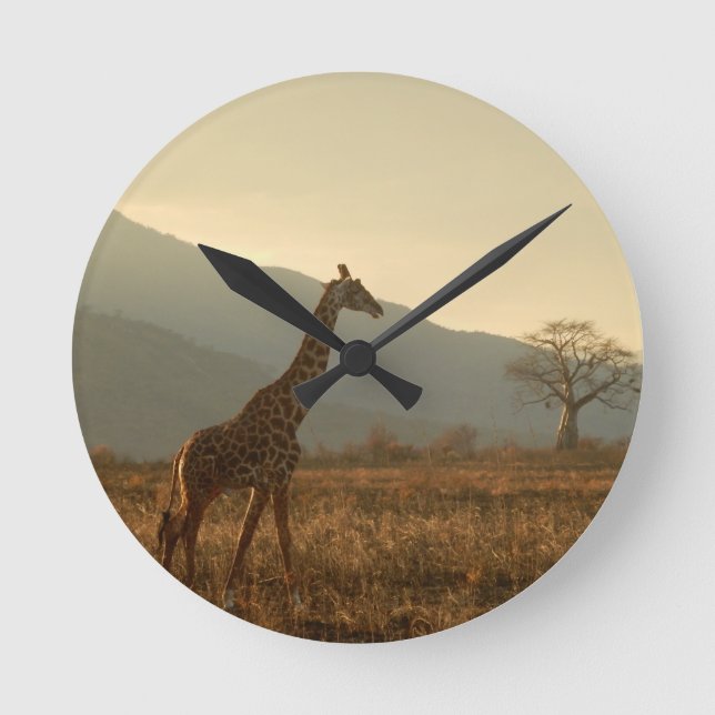 Giraff i savannen rund klocka (Framsida)