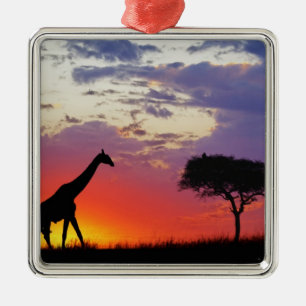 Giraff i silhuett vid soluppgång, Giraffa Julgransprydnad Metall