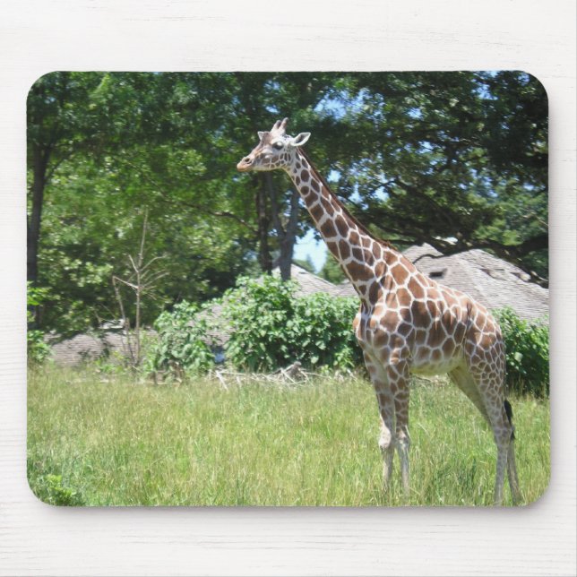 Giraff i vilden musmatta (Framsidan)