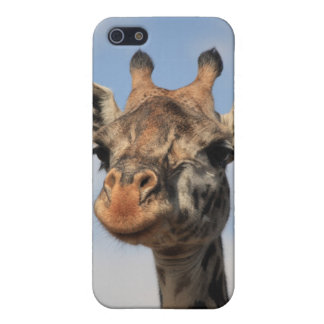 Giraff iPhone 5 Fodral