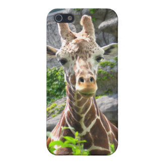 Giraff iPhone 5 Fodral