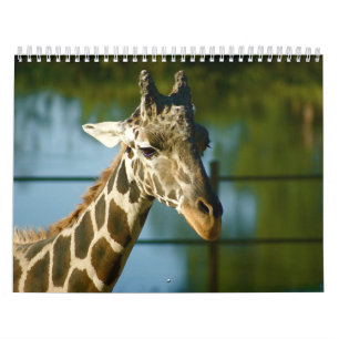 Giraff Kalender