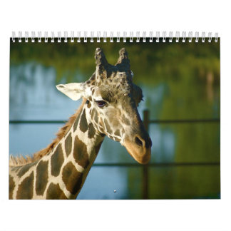 Giraff Kalender