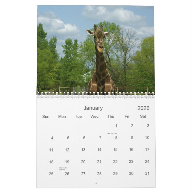 Giraff Kalender (Jan 2026)