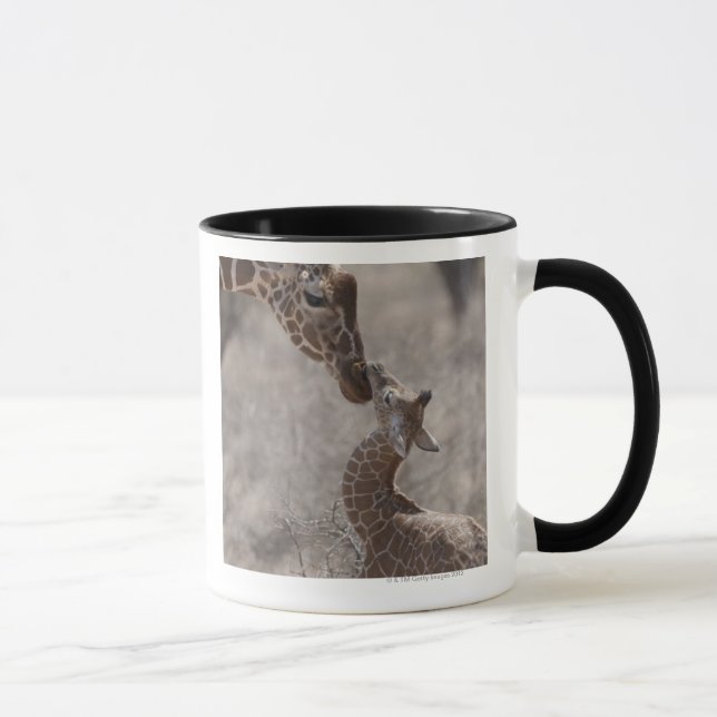 Giraff Kenya, afrika Mugg (Höger)