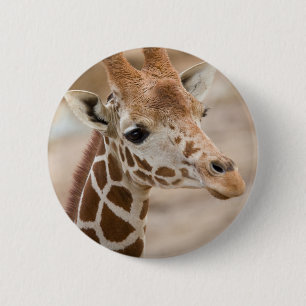 giraff knapp