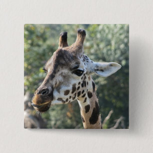 Giraff Knapp