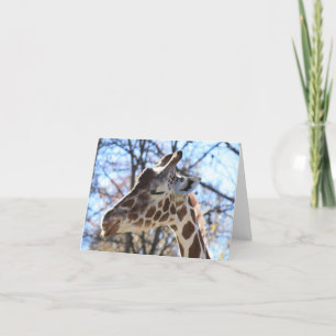 Giraff Kort