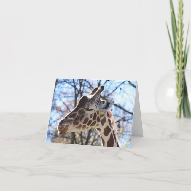 Giraff Kort (Framsida)