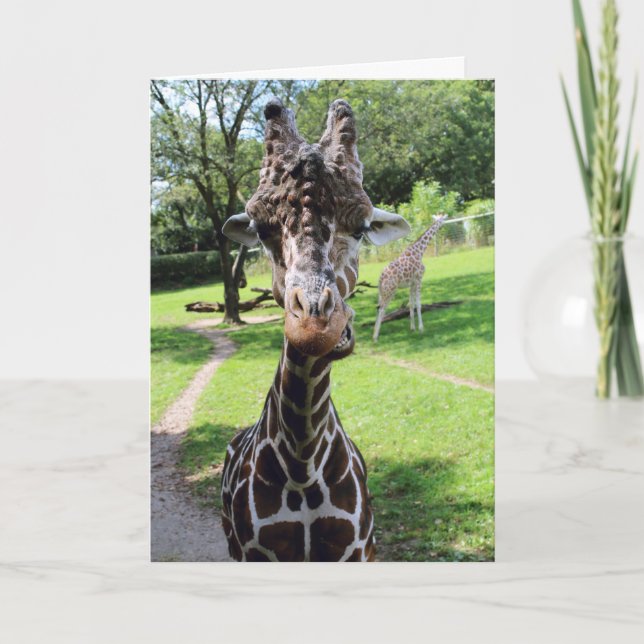 Giraff Kort (Framsida)