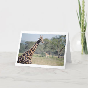Giraff Kort