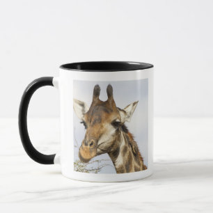 Giraff Kruger nationalpark, Sydafrika Mugg