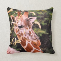 Giraff