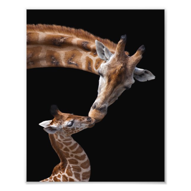 Giraff Kyss Tryck (Framsidan)