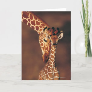 Giraff med Giraffacamelopardalis för kalv Kort