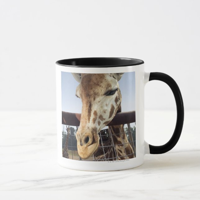 Giraff Mugg (Höger)