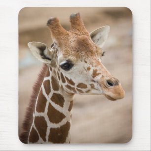 giraff musmatta
