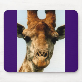 giraff musmatta