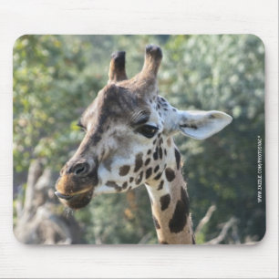 Giraff Musmatta
