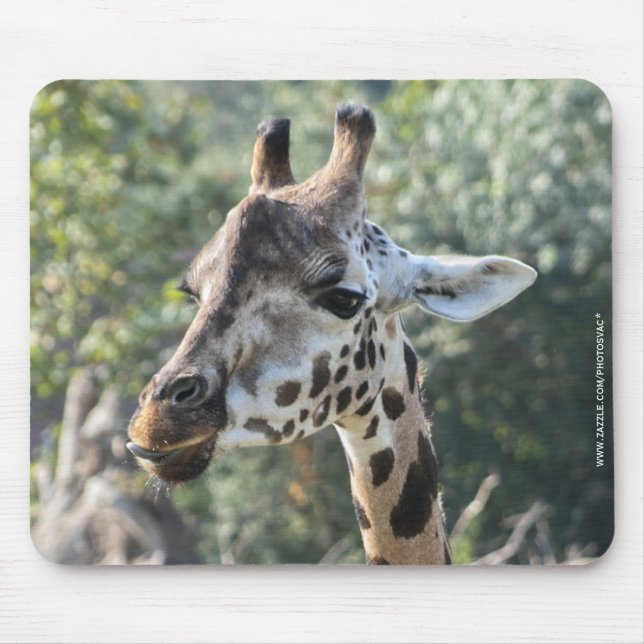 Giraff Musmatta (Framsidan)