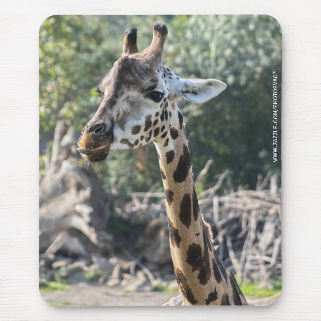 Giraff Musmatta (Framsidan)