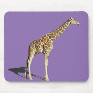 Giraff Musmatta