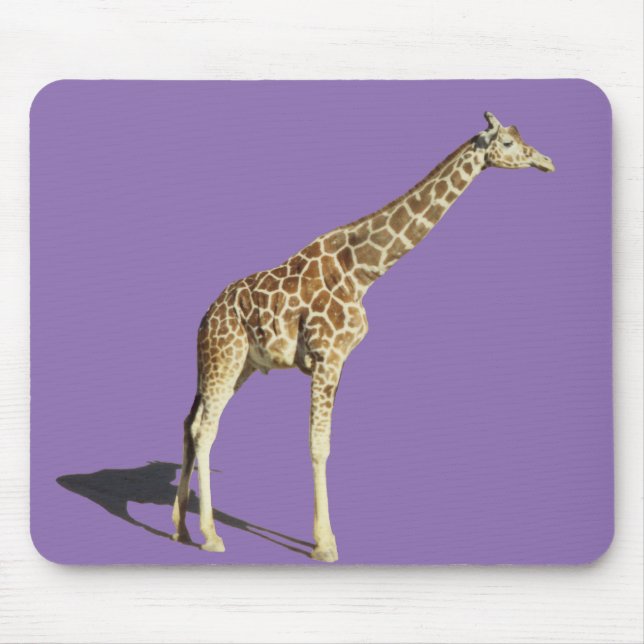 Giraff Musmatta (Framsidan)