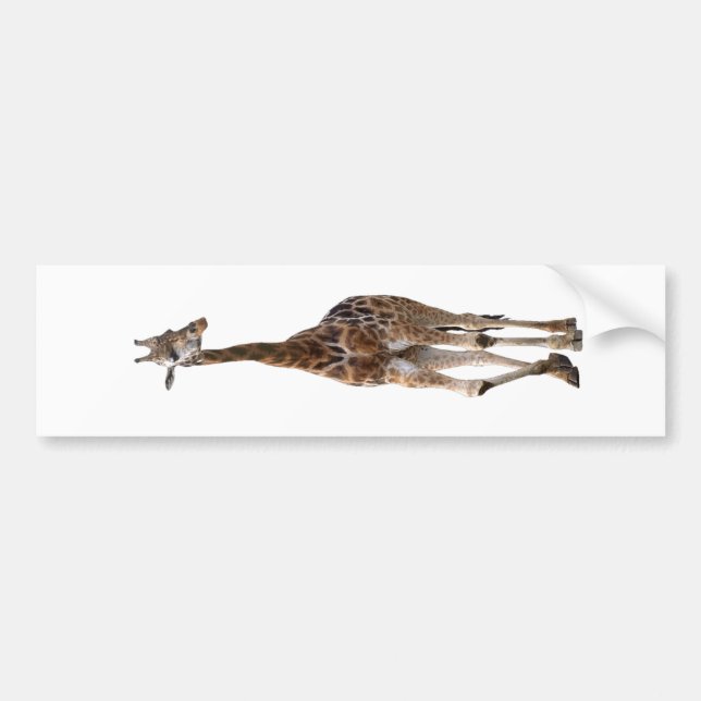 Giraff namngiven bästa bildekal för spets.! (Framsidan)