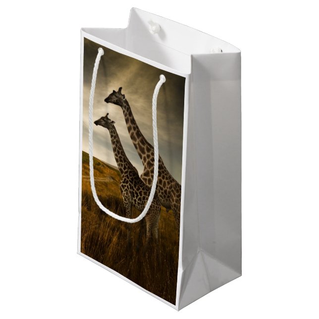Giraff och landskap (Framsidan Vinklad)