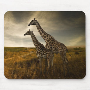 Giraff och landskap musmatta