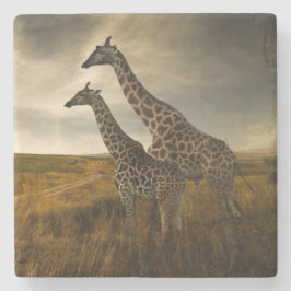 Giraff och landskap underlägg sten