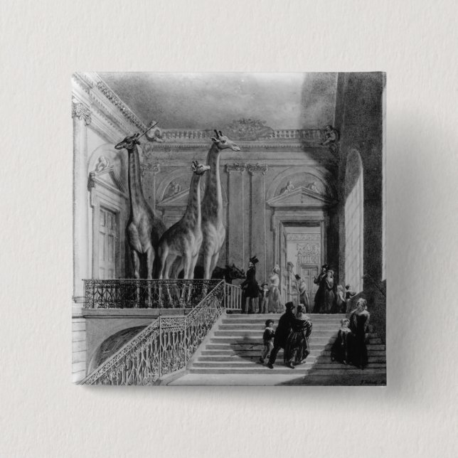 Giraff på trappuppgången i britten knapp (Framsida)