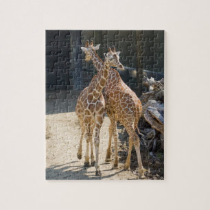 giraff pussel