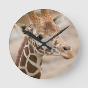 Giraff Rund Klocka