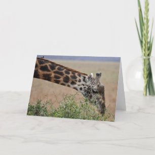 Giraff Serengeti Kort