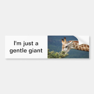 Giraff som äter något löv bildekal