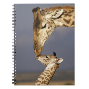 Giraff som kysser baby giraff anteckningsbok