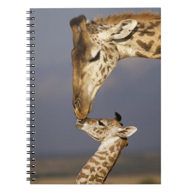Giraff som kysser baby giraff anteckningsbok (Framsidan)