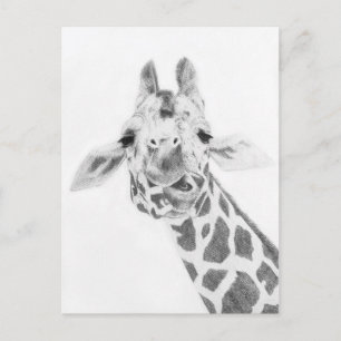 Giraff Vykort