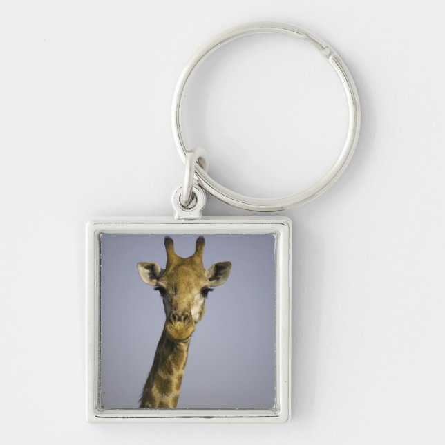 Giraffa Camelopardalis Fyrkantig Silverfärgad Nyckelring (Framsidan)