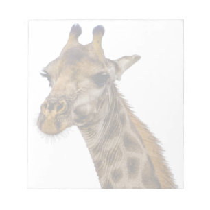 Giraffanteckningsblock Anteckningsblock