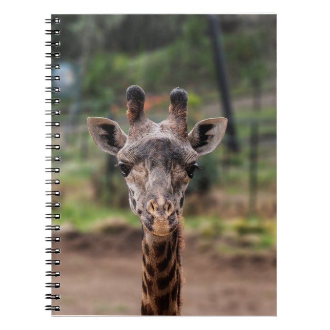 Giraffanteckningsbok Anteckningsbok (Framsidan)