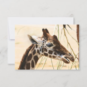 Giraffas långt och nära tack kort