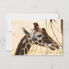 Giraffas långt och nära tack kort