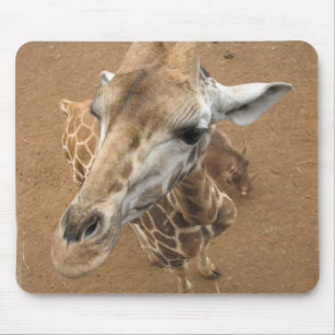 Giraffblickmusen vadderar musmatta