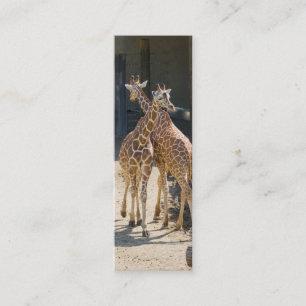 giraffbokmärke mini visitkort