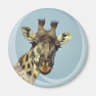 Giraffdesignmagnet Magnet