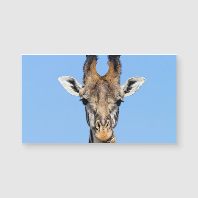 Giraffe (Framsida)