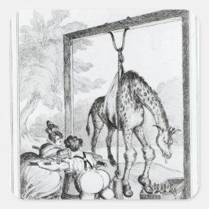 Giraffe, 1829 fyrkantigt klistermärke